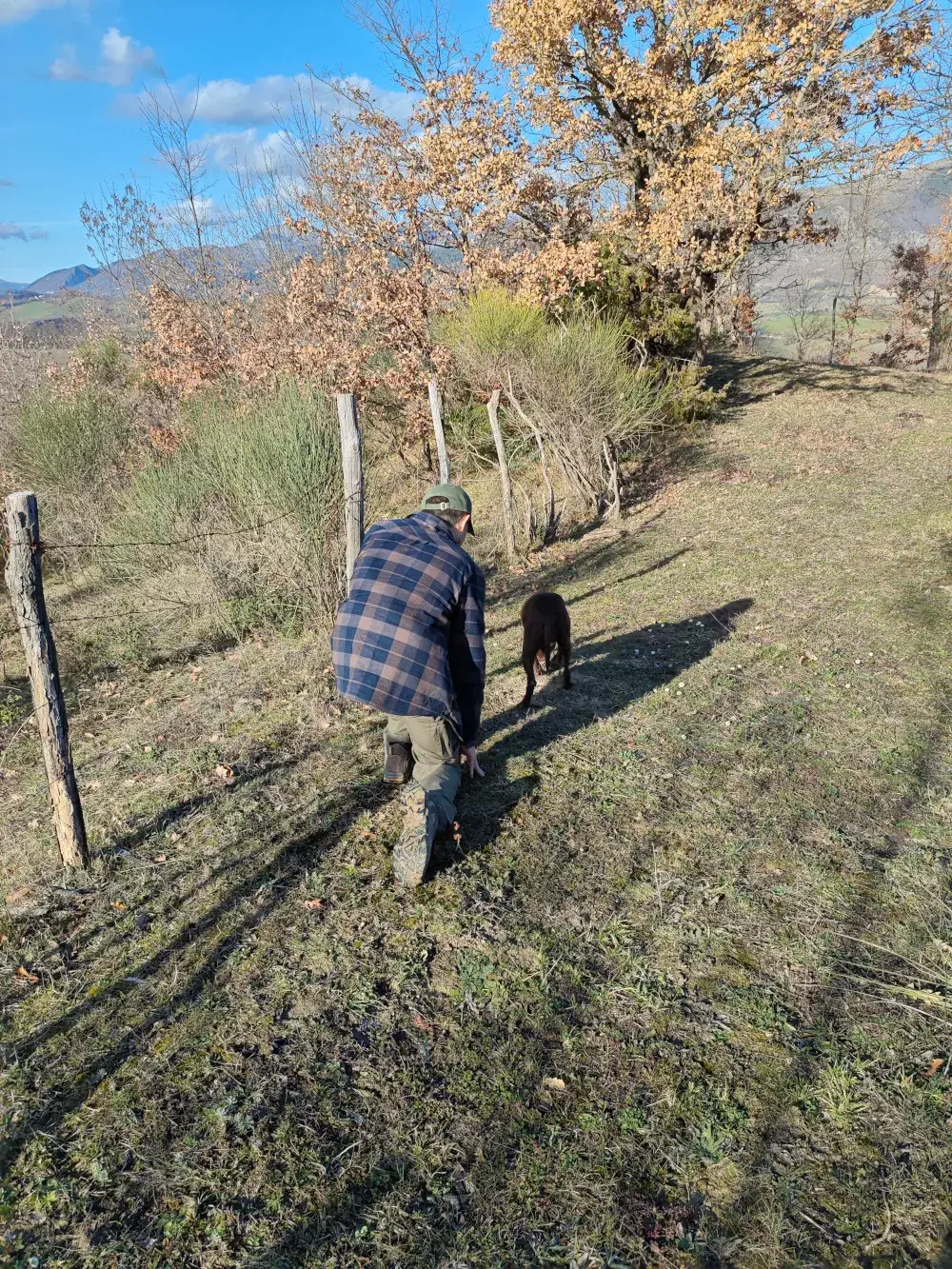 Tartufo bianco appena cavato da Roberto nei boschi di Gubbio